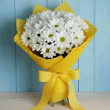 Букет цветов из:  Хризантемы в Зольской