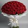Букет 101 Красная роза Блэк Мэджик в Зольской