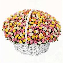 Премиум букет из: Розы в Зольской