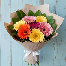 Букет цветов из:  Герберы в Зольской