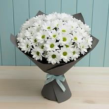 Букет цветов из:  Хризантемы в Зольской