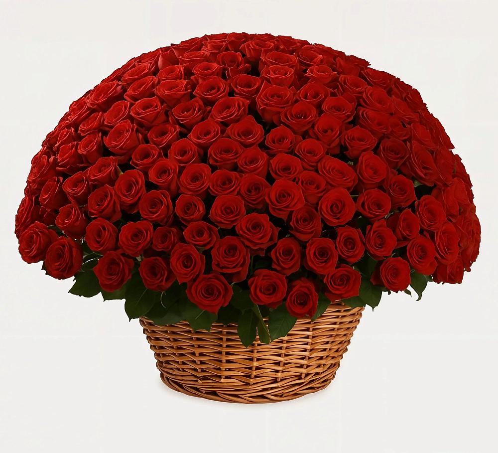 Премиум букет из: Розы в Зольской