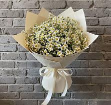 Букет цветов из:  Ромашки в Зольской