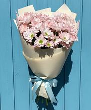 Букет цветов из:  Хризантемы в Зольской