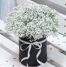 Цветочная композиция из Гипсофила в шляпной коробке #REPLACE_PRED# Зольской