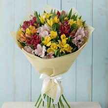 Букет цветов из:  Альстромерии в Зольской