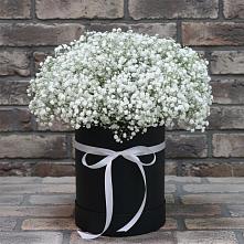 Цветочная композиция из Гипсофила в шляпной коробке в Зольской