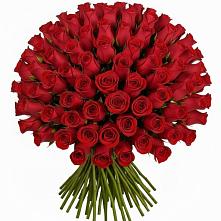 Букет Красные розы Чери Лав #REPLACE_PRED# Зольской