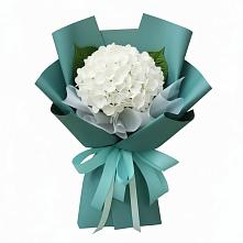 Букет цветов из:  Гортензия #REPLACE_PRED# Зольской